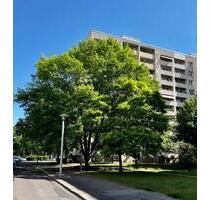 3 Raumwohnung mit Balkon ab dem 1.Februar verfügbar - Dresden Altstadt