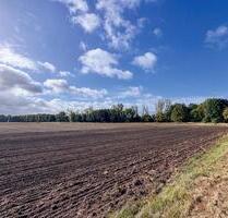 AUKTION: rd. 0,3 ha Acker- und Grünland - Bernsdorf