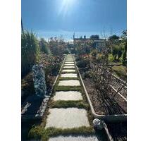 400 qm Schrebergarten in Dresden-Zschachwitz