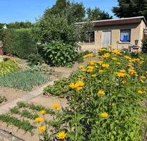 Garten Kleingarten Schrebergarten - Weißenfels