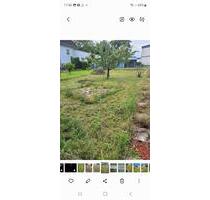 Garten zu verpachten - Mülheim-Kärlich