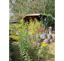 Kleingarten - 2.500,00 EUR Kaltmiete, ca.  0,00 m² in Annaberg-Buchholz (PLZ: 09456)