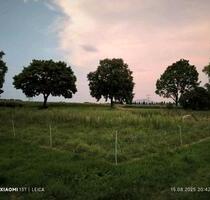 Acker Garten Freizeitgrundstück 1269 QM Bühl-Oberweier
