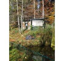 Fischteiche zum verpachten. - 500,00 EUR Kaltmiete, ca.  0,00 m² in Stiefenhofen (PLZ: 88167)