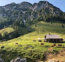 Ferienwohnung Dachstein West - 60,00 EUR Kaltmiete, in Feucht (PLZ: 90537)