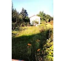 Kleingarten - 500,00 EUR Kaltmiete, ca.  0,00 m² in Neustadt in Sachsen (PLZ: 01844)