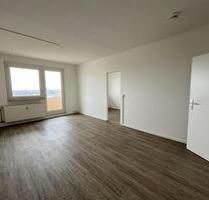 Traumhafte Aussicht vom Sonnenbalkon! Frisch saniert! - Zwickau Zwickau-Nord