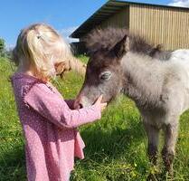 Ferienwohnung Ostsee Urlaub Bauernhof Reiten Tiere Pferde - Schönwalde am Bungsberg