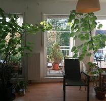 Schönes Zimmer, ca 20qm - 400,00 EUR Kaltmiete, in Münster (PLZ: 48147) Erphoviertel