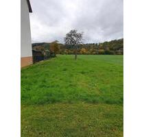 Pacht von Gartengrundstück Holzlager Wiese - Fuldabrück