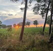 Wochenendhaus in der Südheide - 60.000,00 EUR Kaufpreis, in Ebstorf (PLZ: 29574)