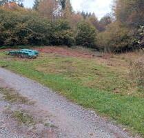 Wiese samt 10 Ster Buchenholz bei Selbach - Gaggenau