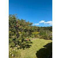 Garten mit Laube - 2.700,00 EUR Kaltmiete, ca.  0,00 m² in Greifswald (PLZ: 17491) Groß Schönwalde