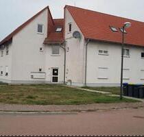 1-Zimmer Wohnung, Laminat, Küche - Oranienbaum-Wörlitz