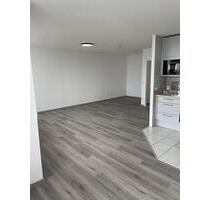 Exklusive hochwertig renovierte Wohnung mit Balkon, neue EB-Küche und Tiefgaragenstellplatz - Heidelberg Boxberg