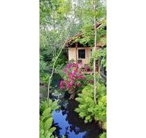 Ferienhaus-Molle Burg im Spreewald - Burg (Spreewald)