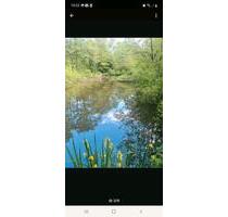 Freizeitgelände mit Fischweiher großer Hütte viel Platz - Ötzingen