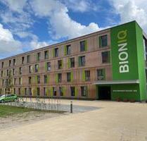 moderne 1-Zimmer-Wohnung, 23 qm - Greifswald