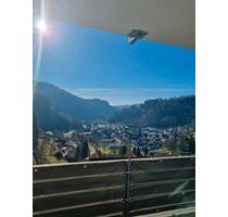 Ferienwohnung Fewo Schwarzwald Monteurwohnung - Zell im Wiesental