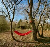 Grundstück Waldkindergarten, Hundetrainingsplatz, Kleingarten - Bad Soden am Taunus