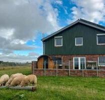 Ferienhaus Nordsee,Ferienhaus mit Fassauna,Sommerferienhaus - Niebüll