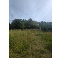 Grundstück in Erlenbach bei Dahn – Naturnah wohnen mit Burgblick - Herxheim bei Landau/Pfalz