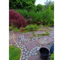 Schrebergarten Kleingarten Verein Volkswohl abzugeben - Fuldatal
