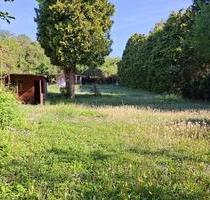 Riesiger Garten in Wiesbaden-Biebrich 