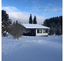 Winterurlaub im Ferienhaus in Willingen (bis zu 5 Personen) - Willingen (Upland)