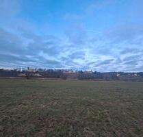 Wunderschöne 2 Raumwohnung in Elbnähe mit Balkon zu vermieten - Dresden Blasewitz