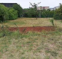 Garten Grundstück Freizeit- Erholungsgrundstück zu vermieten - Gotha