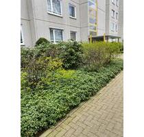 Wohnung in Laatzen - 800,00 EUR Kaltmiete, in Laatzen (PLZ: 30880)