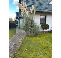 Ostseebad Dierhagen!1,5 Raum Whg auf Zeit bis 30.4.26