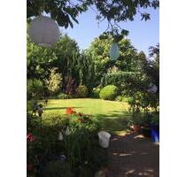 Einfamilienhaus inkl. Einliegerwohnung (TOP SANIERT) KEIN MAKLER - Tasdorf