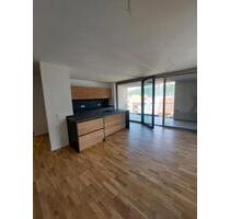 NEUE 2 Zimmer Wohnung - 1.050,00 EUR Kaltmiete, in Emmingen-Liptingen (PLZ: 78576)