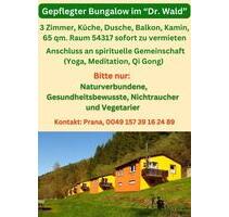 Bungalow in idyllischer Waldlage zu vermieten - Osburg