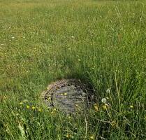 Voll erschlossenes Baugrundstück in ruhiger Lage – zentrumsnah und naturnah - Neuschönau