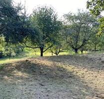 Erster Monat kostenlos! Streuobstwiese Freizeitgrundstück nahe Stuttgart zu verpachten - Weilheim an der Teck