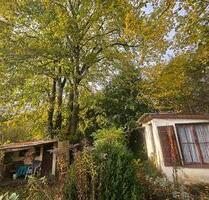 Kleingarten Freizeitgrundstück Eigentumsgarten - Kiel Elmschenhagen