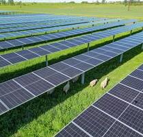 Agri-PV: Mehr Ertrag aus Ihrer Fläche kombinieren Sie Landwirtschaft & Solarstrom - Bautzen