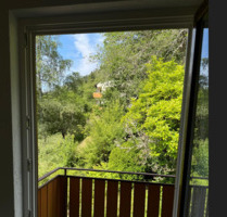 Geräumige 4-Zimmer-Wohnung in Bad Teinach - Bad Teinach-Zavelstein