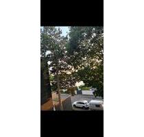 Nachmieter, Wohnung - 543,00 EUR Kaltmiete, ca.  33,00 m² in Düsseldorf (PLZ: 40489) Stadtbezirk 5