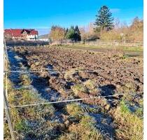 Nutzgarten in Zierenberg zu verpachten