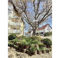 Schöne 3-Zi. Whg. im Herzen von Schlierbach mit Küche, Garage & Keller