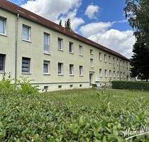 Bei Einzug frisch renoviert mit neuem Bad! - Elsteraue