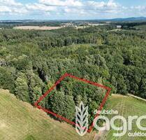 Eichenmischwald mit Durchforstungspotential zw. Bautzen und Bischofswerda bei Demitz-Thumitz