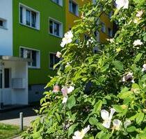 Familienfreundliche 3-Zimmer-Wohnung mit Balkon! - Halle (Saale) Silberhöhe