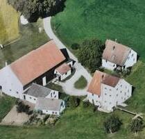 Pacht! Hofstelle in Alleinlage Bauernhof Wohnhaus Scheune Weiden - Freystadt