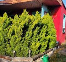 Garten in MD Neustadt abzugeben - Magdeburg Alte Neustadt