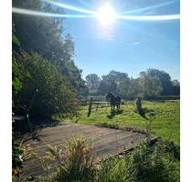 Ferienwohnung Bauernhof Reiten Familienurlaub Ostsee - Neustadt in Holstein